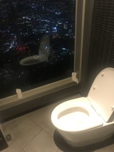 Damentoilette mit Weitblick